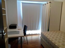 Blk 1 The Pinnacle@Duxton (Bukit Merah), HDB 5 Rooms #458533641